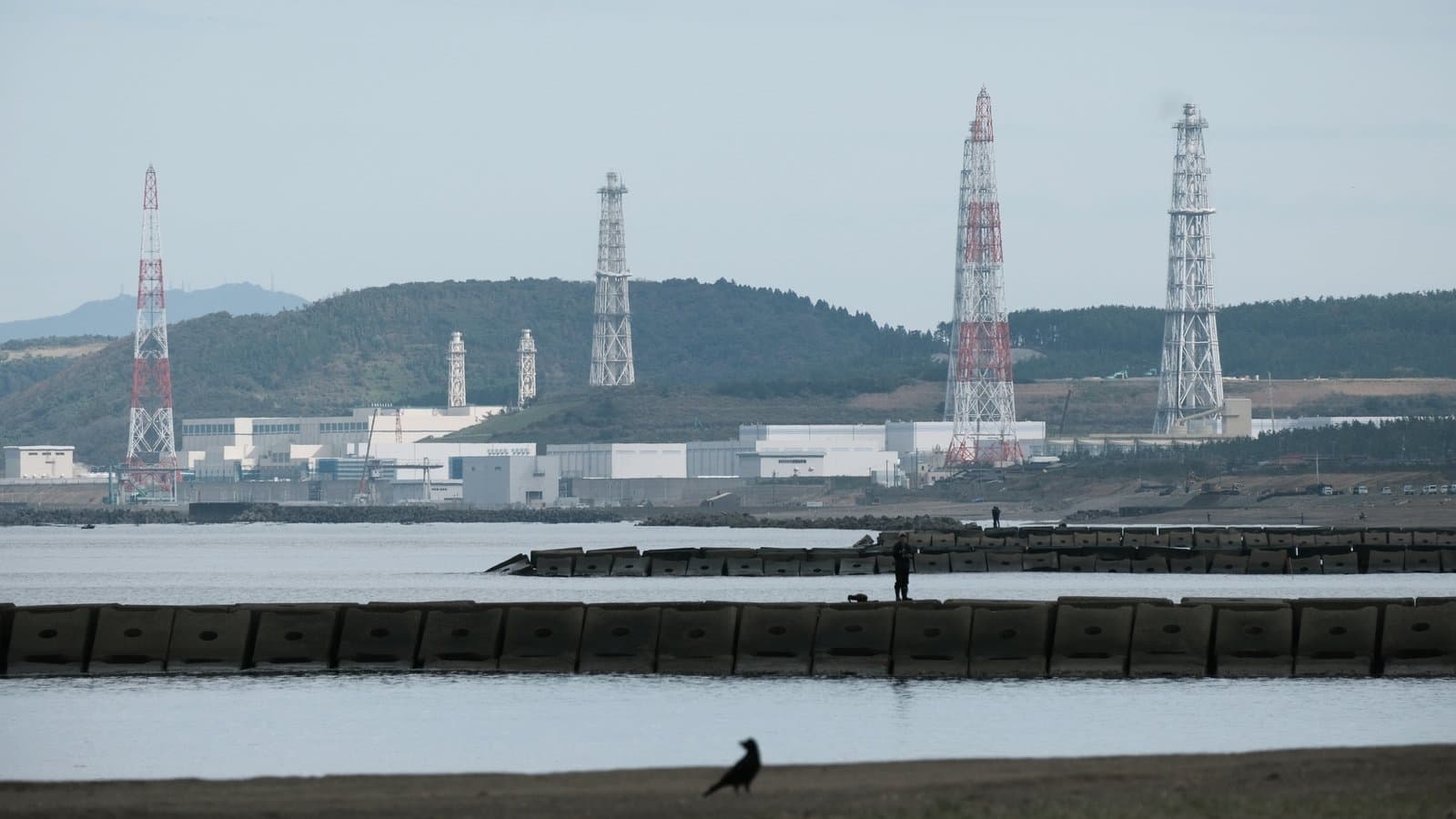 Japan Restarts World's Largest Nuclear Plant Despite Resistance