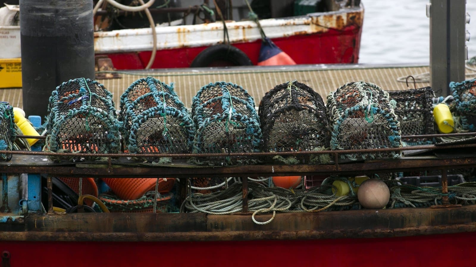 EU Fishing Betrayal: Ireland Loses €200m as Brussels Ignores Our Rights