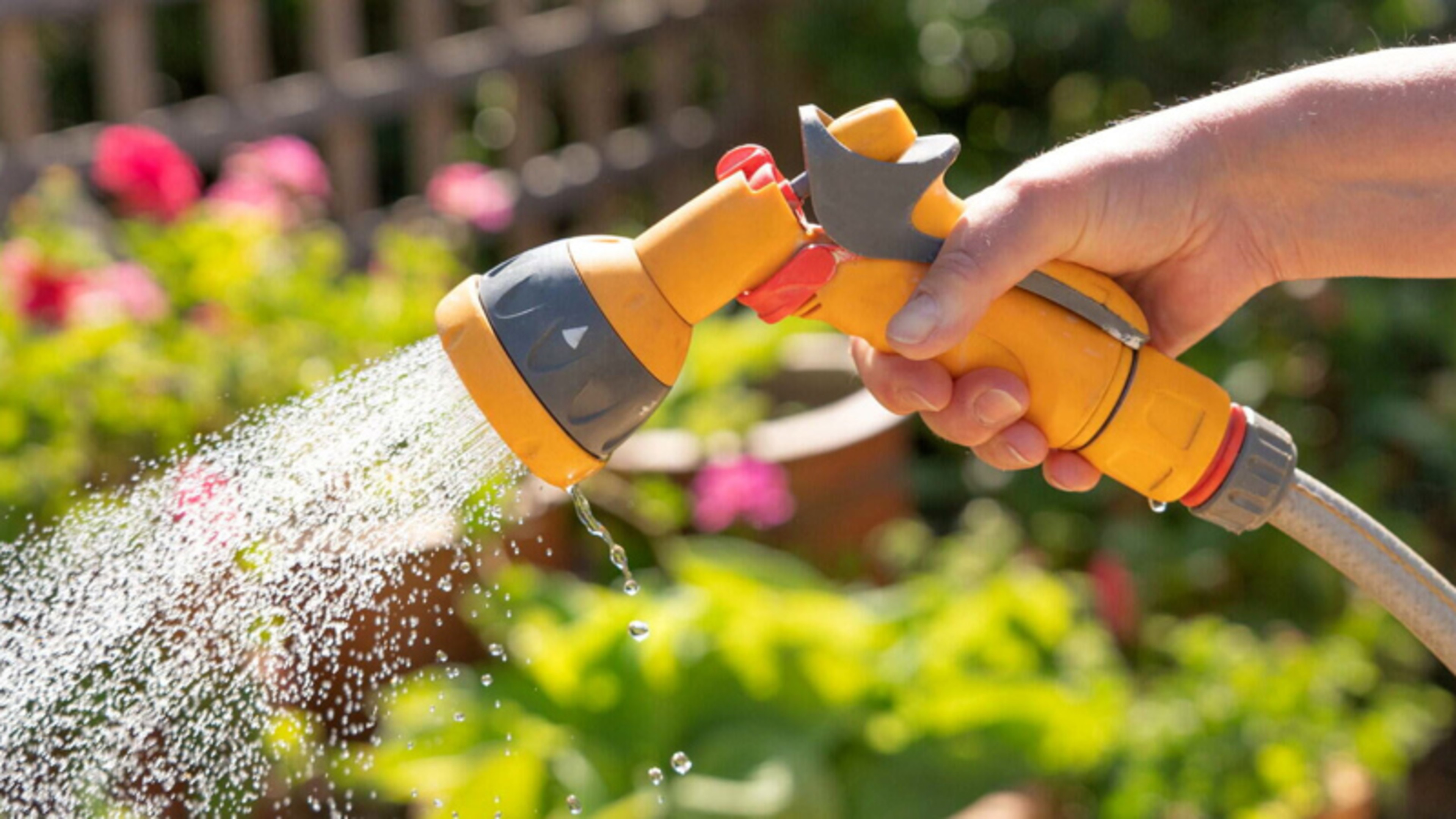 Ireland's Heatwave: Water Conservation Order Could Be Extended as Temperatures Top 30°C