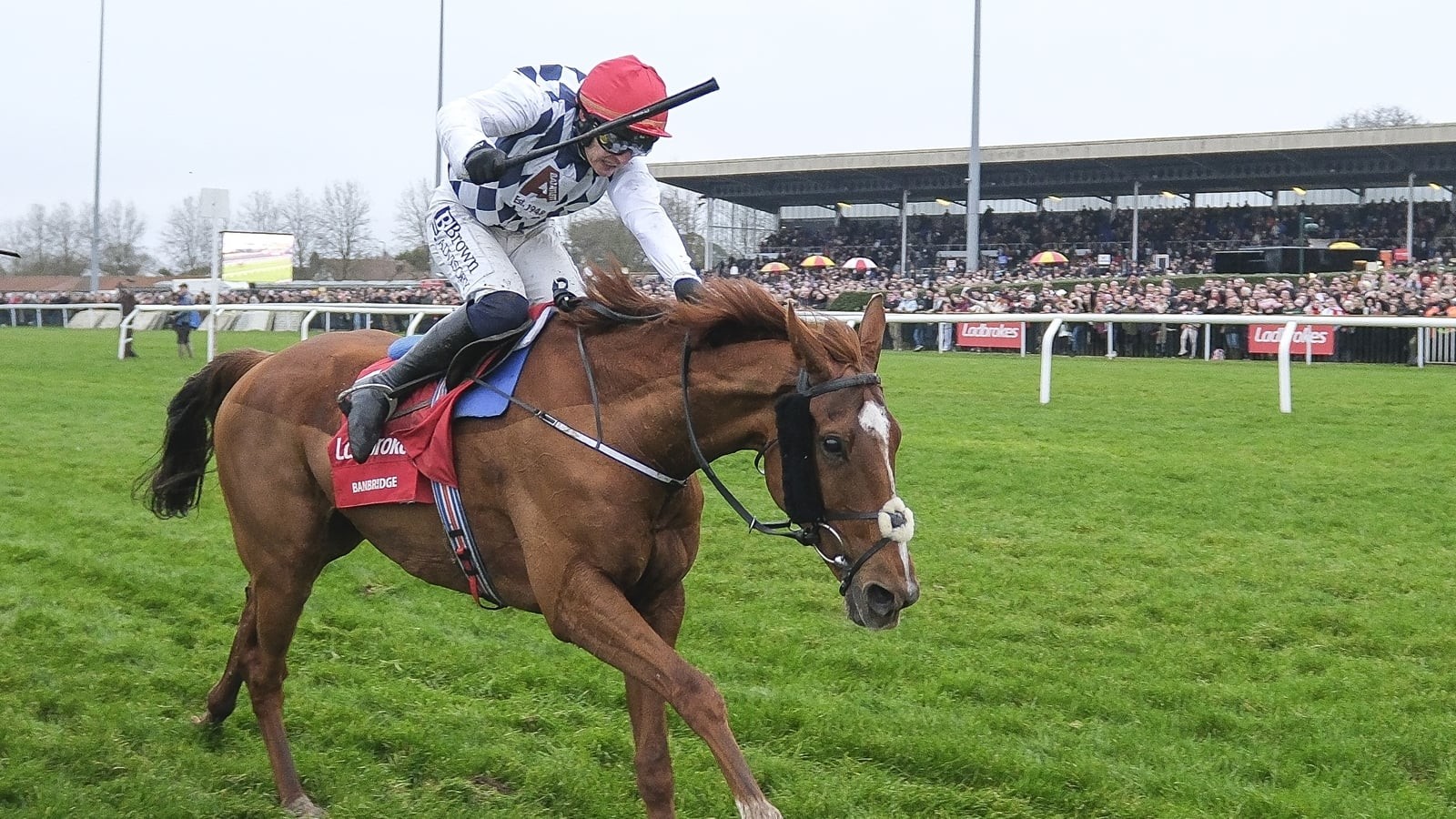 Banbridge's Flat Debut Triumph at Gowran Park Is a Win for the People
