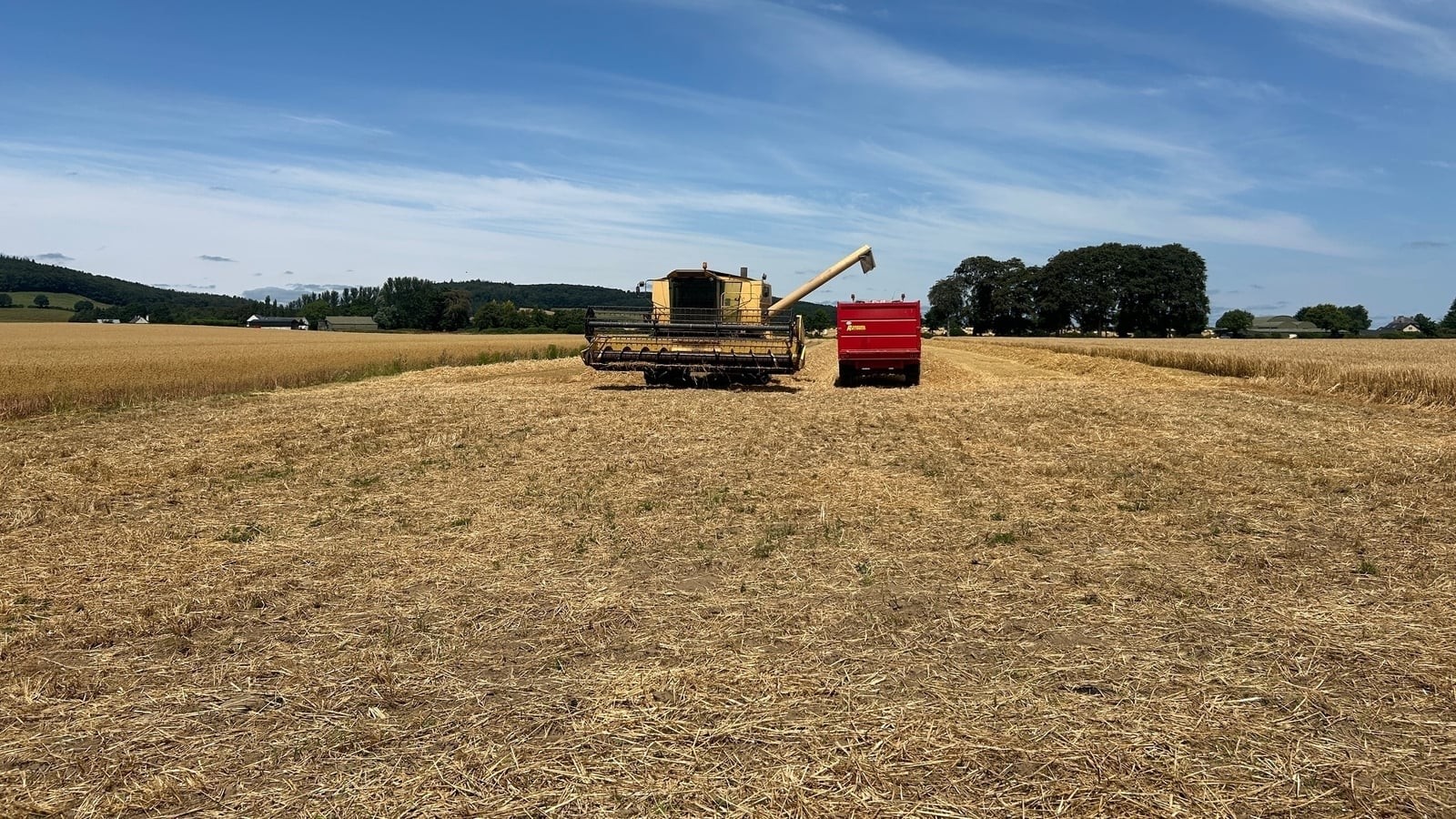 Our Land, Our Future: The Early Harvest and the Fight for Fairness